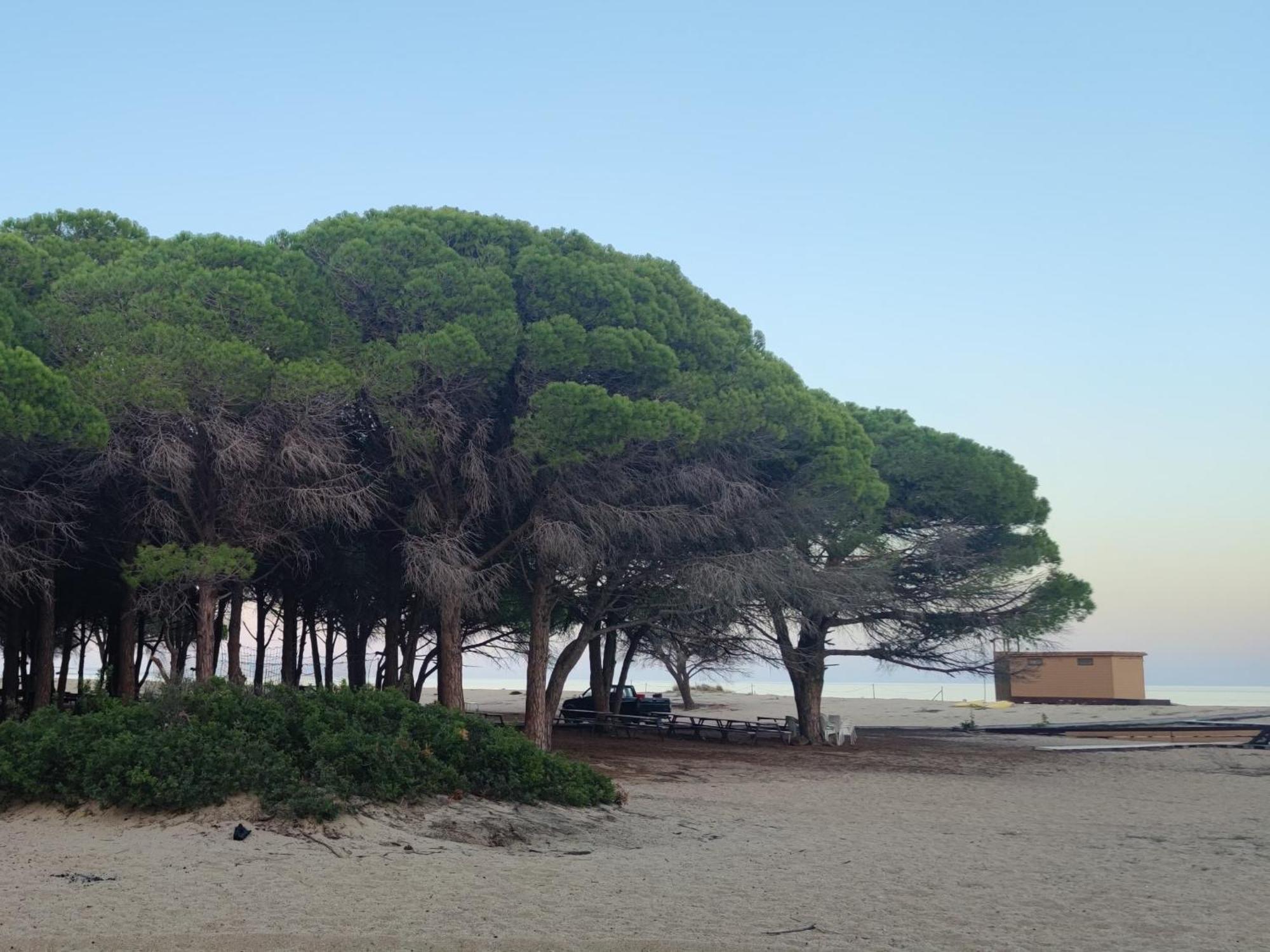 Casa Su Rimediu Hébergement de vacances